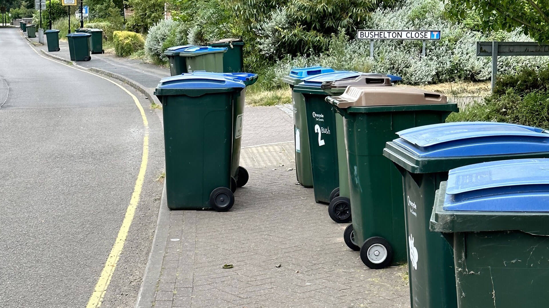 wheelie bins blocking the pavement